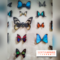 We are Here : l'exposition d'art urbain au Petit Palais - IMG20240611093504