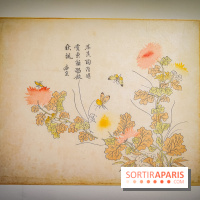 Au cœur de la couleur : l'exposition autour de la porcelaine de Chine au musée Guimet - nos photos