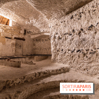 Le Château de la Roche Guyon, le château troglodyte dans le Val-d'Oise - 95 -  A7C6210