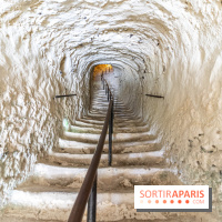 Le Château de la Roche Guyon, le château troglodyte dans le Val-d'Oise - 95 -  escalier dans la roche