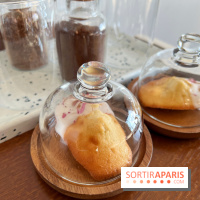 Hôtel Rosalie - Madeleines