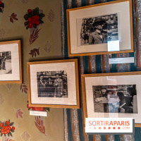 Maison Jean Cocteau à Milly-la-Forêt en Essonne - photos -  A7C6403