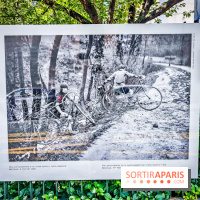 Championnes : l'exposition photo qui explore le sport féminin se dévoile à la galerie Roger-Viollet - IMG20240613102453