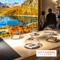 Musée du Fromage à Paris, les photos -  A7C6687