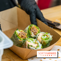 Ici Vietnam Festival à Paris - photos  -  A7C6961