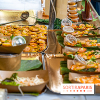 Ici Vietnam Festival à Paris - photos