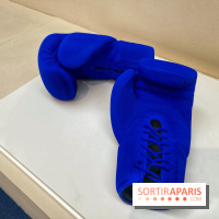 Les Bleus rencontrent Yves Klein - IMG 1914