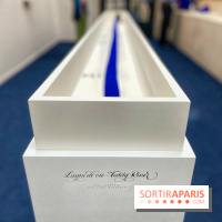 Les Bleus rencontrent Yves Klein - IMG 1922