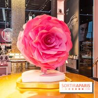 Le Café de la Rose Lancôme par Nina Métayer sur les Champs-Elysées à Paris -  A7C7157