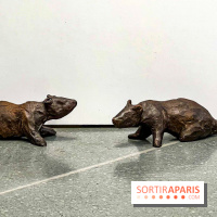 Exposition de Nina Jayasuriya chez Sisley - image00014