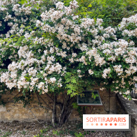 Potager-Fruitier de la Roche Guyon - nos photos