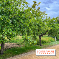 Potager-Fruitier de la Roche Guyon - nos photos - image00033