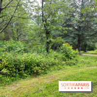 Arboretum de la Roche-Guyon - nos photos - image00011