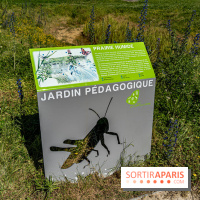 Le Parc du peuple de l'herbe dans les Yvelines - Étang de Galiotte - Carrières-sous-Poissy