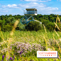 Le Parc du peuple de l'herbe dans les Yvelines - Étang de Galiotte - Carrières-sous-Poissy -  A7C7482