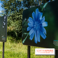 Le Parc du peuple de l'herbe dans les Yvelines - Étang de Galiotte - Carrières-sous-Poissy
