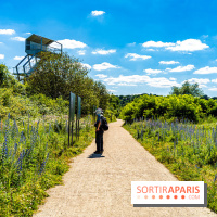 Le Parc du peuple de l'herbe dans les Yvelines - Étang de Galiotte - Carrières-sous-Poissy -  A7C7490