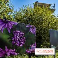 Le Parc du peuple de l'herbe dans les Yvelines - Étang de Galiotte - Carrières-sous-Poissy -  A7C7493