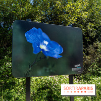 Le Parc du peuple de l'herbe dans les Yvelines - Étang de Galiotte - Carrières-sous-Poissy -  A7C7494