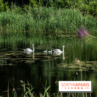 Le Parc du peuple de l'herbe dans les Yvelines - Étang de Galiotte - Carrières-sous-Poissy