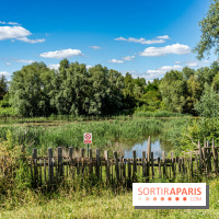 Le Parc du peuple de l'herbe dans les Yvelines - Étang de Galiotte - Carrières-sous-Poissy -  A7C7523