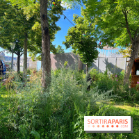 La Guinguette du Grand Parquet, été 2024 - 9A5482BA 820D 4B19 8044 EC98733FBECA