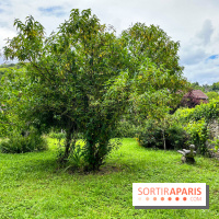 Le Jardin du Yoga à la Roche-Guyon - nos photos