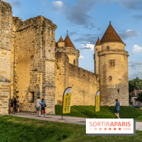Lumières de Blandy : l'héritage des vicomtes, le spectacle sons et lumières -  A7C7946