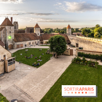 Lumières de Blandy : l'héritage des vicomtes, le spectacle sons et lumières -  A7C7964