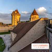 Lumières de Blandy : l'héritage des vicomtes, le spectacle sons et lumières -  A7C7976