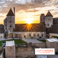 Lumières de Blandy : l'héritage des vicomtes, le spectacle sons et lumières -  A7C7984