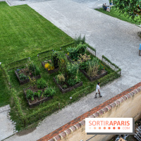 Lumières de Blandy : l'héritage des vicomtes, le spectacle sons et lumières -  A7C7985