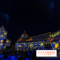 Lumières de Blandy : l'héritage des vicomtes, le spectacle sons et lumières -  A7C8059