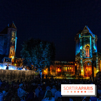 Lumières de Blandy : l'héritage des vicomtes, le spectacle sons et lumières -  A7C8112