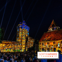 Lumières de Blandy : l'héritage des vicomtes, le spectacle sons et lumières -  A7C8124