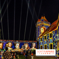 Lumières de Blandy : l'héritage des vicomtes, le spectacle sons et lumières -  A7C8174