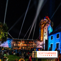 Lumières de Blandy : l'héritage des vicomtes, le spectacle sons et lumières -  A7C8185