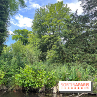 Domaine de Chamarande - nos photos - image00003