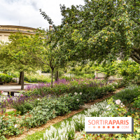 Le brunch à volonté de Chez Molly à Versailles dans les Yvelines - 78 -  jardin des senteurs