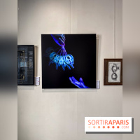 Le Cabinet de l’Oracle : l'exposition ésotérique à la galerie La Lison - IMG 8617