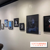 Le Cabinet de l’Oracle : l'exposition ésotérique à la galerie La Lison - IMG 8638