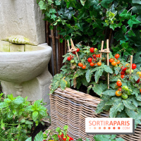 Le Potager, Roch Hotel & Spa - Potager