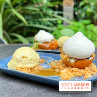 Le Potager, Roch Hotel & Spa - Abricot rôti à la verveine