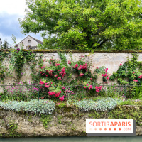 Crécy-la-Chappelle - nos photos - image00056