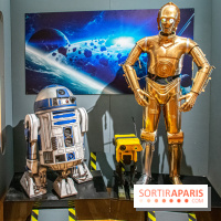 Star Wars : Fans of the Galaxy, l'expo à découvrir dans une galaxie lointaine, très lointaine - DSC 0850
