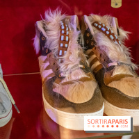 Star Wars : Fans of the Galaxy, l'expo à découvrir dans une galaxie lointaine, très lointaine - DSC 0864