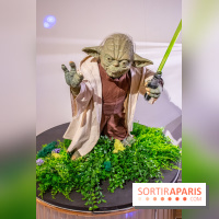 Star Wars : Fans of the Galaxy, l'expo à découvrir dans une galaxie lointaine, très lointaine - DSC 0872