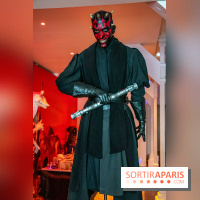 Star Wars : Fans of the Galaxy, l'expo à découvrir dans une galaxie lointaine, très lointaine - DSC 0908