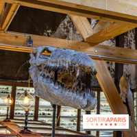 Un dinosaure géant au Château de Dampierre - Jurassique au Château de Dampierre -  A7C8908