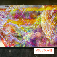 Le monde est à tous.tes - IMG 2543